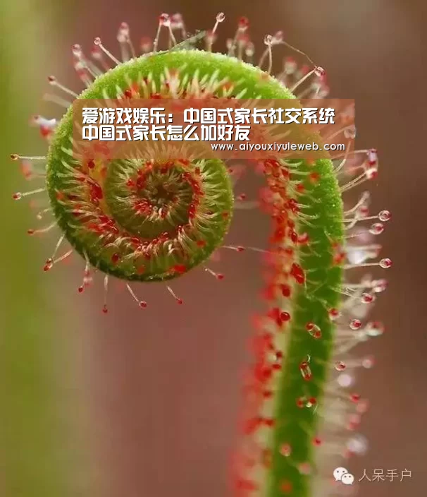 爱游戏百家乐