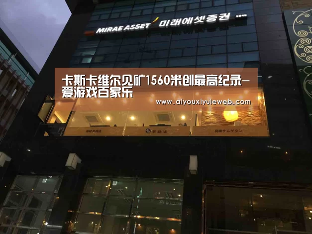 爱游戏视讯